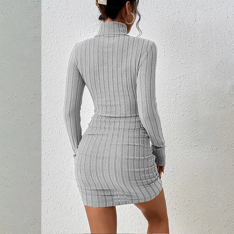 Turtleneck Sweater Dress