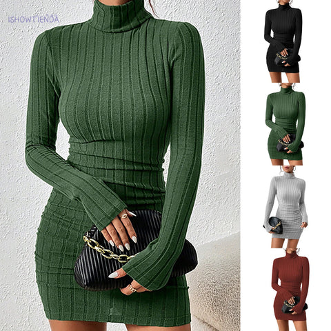 Turtleneck Sweater Dress