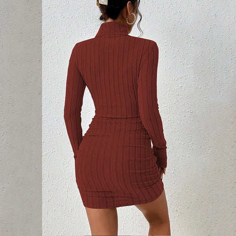 Turtleneck Sweater Dress